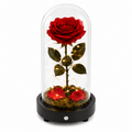 Red rose inside a glass dome with a black base on a white background