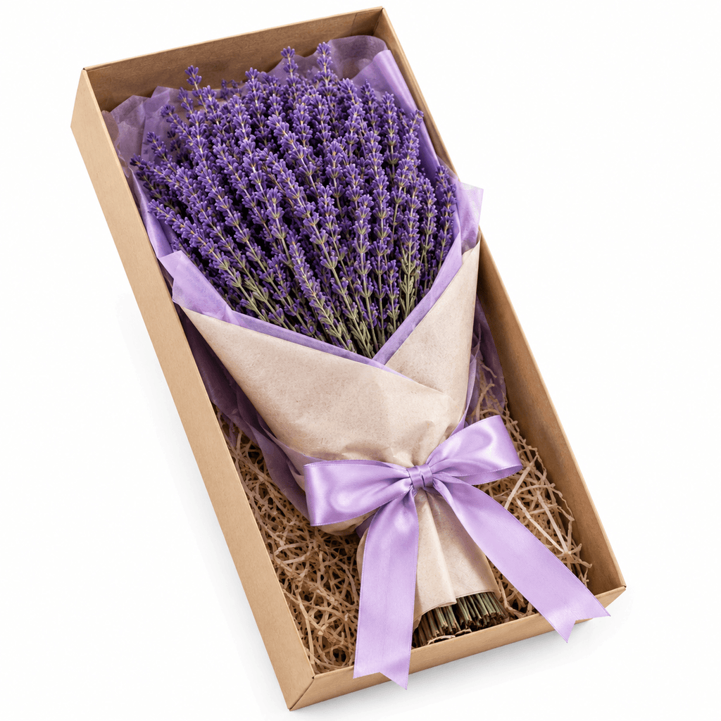 Bouquet of lavender in a box with a purple ribbon on a white background
